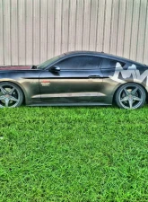 Steeda Linear Ultralite Extreme Lowering Springs Ford Mustang 2015-2022                                     - 555-8214 - Image 2