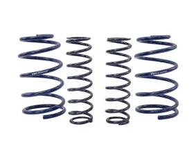 Steeda Sport Lowering Springs - Coupe Ford Mustang 2005-2014