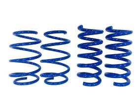 Steeda Linear Minimum Drop Lowering Springs Ford Mustang 2015-2022