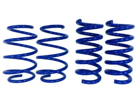 Steeda Linear Drag Springs Ford Mustang GT 2015-2022