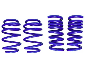 Steeda MagneRide Dual Rate Ultimate Handling Lowering Springs Ford Mustang 2015-2024