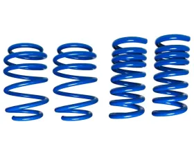Steeda Dual Rate Ultimate Handling Lowering Springs Ford Mustang 2015-2024