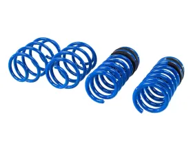Steeda Lowering Springs Ford Fusion 2013-2020