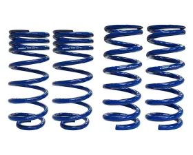 Steeda Front Full Set Competition Lowering Springs Ford Mustang GT | V6 1979-2004