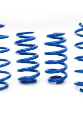 Steeda Lowering Springs Ford Explorer 2020-2023                                     - 555-8203 - Image 2