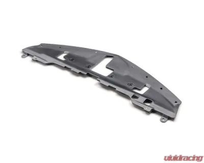 Seibon Carbon Fiber Cooling Plate Nissan Z 2023-2024 - CP22NSZ-MF