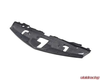 Seibon Carbon Fiber Cooling Plate Nissan Z 2023-2024 - CP22NSZ