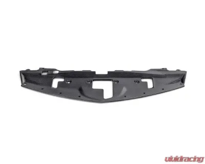 Seibon Carbon Fiber Cooling Plate Nissan Z 2023-2024 - CP22NSZ