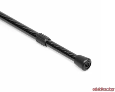 Seibon Carbon Fiber Hood Prop w/ Logo - HOODPROP-S