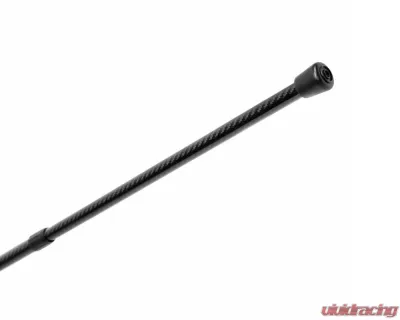 Seibon Carbon Fiber Hood Prop w/ Logo - HOODPROP-S