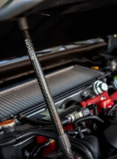 Seibon Carbon Fiber Hood Prop w/ Logo                                     - HOODPROP-S - Image 5