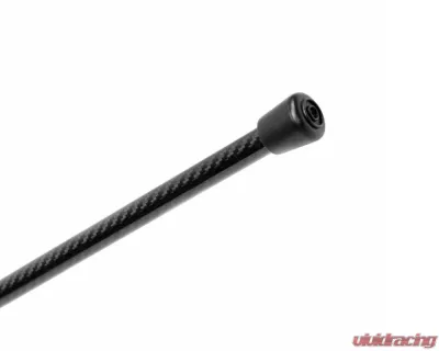 Seibon Carbon Fiber Hood Prop - HOODPROP