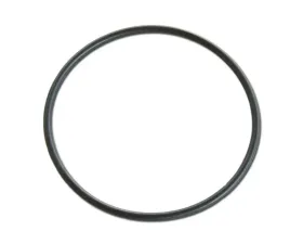 CTS Turbo Oil Catch Can O-Ring