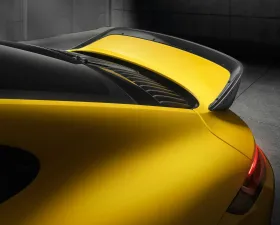 TechArt Rear Spoiler III Porsche 992 Carrera | GT3 | Dakar 2020+