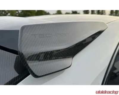 TechArt Rear Spoiler End Plates Paintable for Porsche Cayenne Turbo 2024-2025 09Y.121.680.009 - 09Y.121.680.009