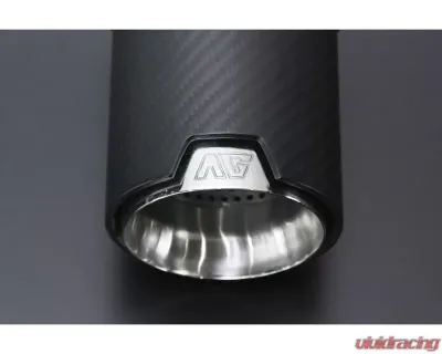 AimGain Pure VIP GT Carbon Shot Muffler Cutter L+R Carbon Lexus GS350 | 430 Kouki 2007-2011 - AIM-PVIPGT-19GS-K-CSMC-SS
