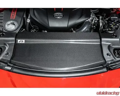 APR Performance Carbon Fiber Cooling Plates Center Piece Toyota Supra A90 | 91 2020-2023 - CF-330901