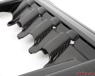 APR Performance Carbon Fiber Engine Cover Ford Mustang S550 GT 5.0 Engine 2015-2017 - CBE-MUGENG15
