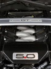 APR Performance Carbon Fiber Engine Cover Ford Mustang S550 GT 5.0 Engine 2015-2017                                     - CBE-MUGENG15 - Image 4