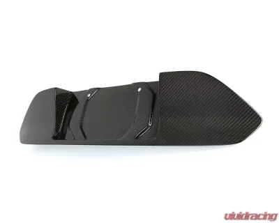 APR Performance Carbon Fiber License Plate Backing Ford Mustang Shelby GT350 S550 2018-2023 - CBX-MUGLIC