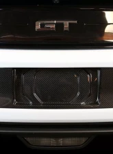 APR Performance Carbon Fiber License Plate Backing Ford Mustang Shelby GT350 S550 2018-2023                                     - CBX-MUGLIC - Image 3