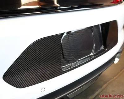 APR Performance Carbon Fiber License Plate Backing Ford Mustang Shelby GT350 S550 2018-2023 - CBX-MUGLIC