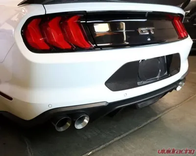 APR Performance Carbon Fiber License Plate Backing Ford Mustang Shelby GT350 S550 2018-2023 - CBX-MUGLIC