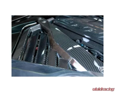 APR Performance Carbon Fiber Engine Plenum Cover Chevrolet Corvette C8 2020-2023 - CBE-C8ENG