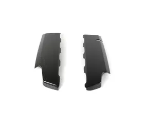APR Performance Carbon Fiber Fuel Rail Cover Only
