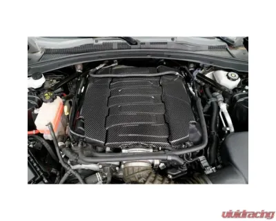 APR Performance Carbon Fiber Fuel Rail Cover Only Chevrolet Camaro SS LT1 2016-2023 - CBE-CMOFUEL