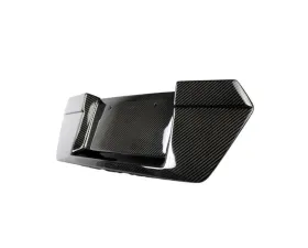 APR Performance Carbon Fiber License Plate Backing