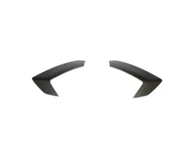 APR Performance Carbon Fiber Quarter Panel Trim Only
