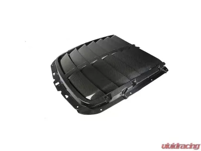 APR Performance Carbon Fiber Hood Vent Ford Mustang S550 Shelby GT500 2020-2023 - CF-201550