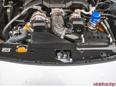 APR Performance Carbon Fiber Radiator Cooling Plate Subaru BRZ | Toyota GR-86 2022-2024 - CF-522010