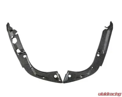 APR Performance Carbon Fiber Radiator Cooling Plates 2 pcs for CF-923020 - CF-923020
