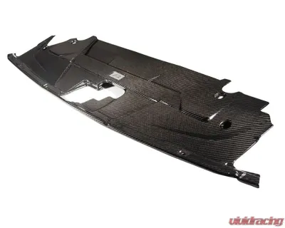 APR Performance Carbon Fiber Cooling Plate Ford Mustang S650 2024+ - CF-202402