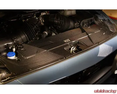 APR Performance Carbon Fiber Cooling Plate Ford Mustang S650 2024+ - CF-202402