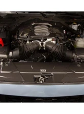 APR Performance Carbon Fiber Cooling Plate Ford Mustang S650 2024+                                     - CF-202402 - Image 4