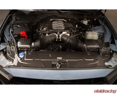 APR Performance Carbon Fiber Cooling Plate Ford Mustang S650 2024+ - CF-202402