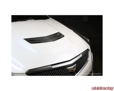 APR Performance Carbon Fiber Hood Vent Cadillac ATS-V 2016-2019 - CF-660005