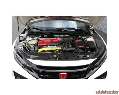 APR Performance Carbon Fiber Radiator Cooling Plate 2 pcs Left and Right Honda FK8 Civic Type R 2017-2021 - CF-917020
