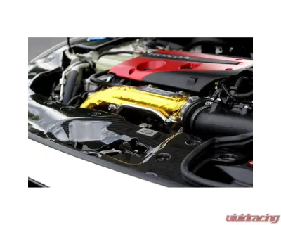 APR Performance Carbon Fiber Radiator Cooling Plate 2 pcs Left and Right Honda FK8 Civic Type R 2017-2021 - CF-917020