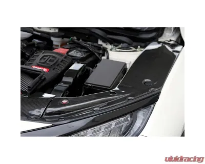 APR Performance Carbon Fiber Radiator Cooling Plate 2 pcs Left and Right Honda FK8 Civic Type R 2017-2021 - CF-917020
