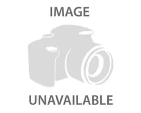 ARP Bolts ARP Ford 6.4L Main Stud Kit 4-Bolt Standard 12-Point Fasteners