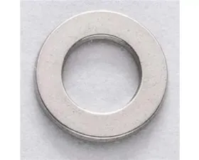 ARP 5/16in ID 5/8inOD SS General Purpose Washer