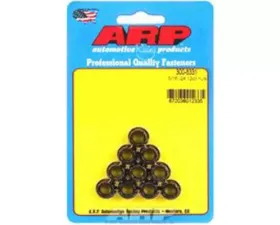 ARP Bolts 5/16in-24 12pt Nut Kit Steel Black Oxide (Pack of 10)