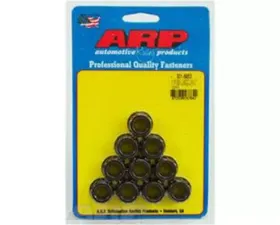 ARP 1/2-20 11/16 Socket 12pt Nut Kit (Set of 10)