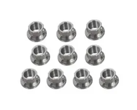ARP 1/2in x 20 SS 12pt Nut Kit (10/pkg)