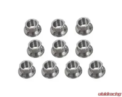ARP 1/2in x 20 SS 12pt Nut Kit (10/pkg) - 400-8334