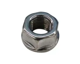 ARP 1/2in-20 SS Hex Nut Kit
